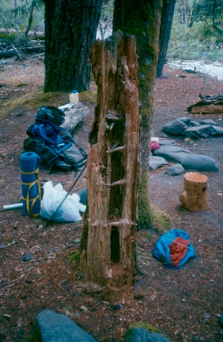1992_Elwha_3