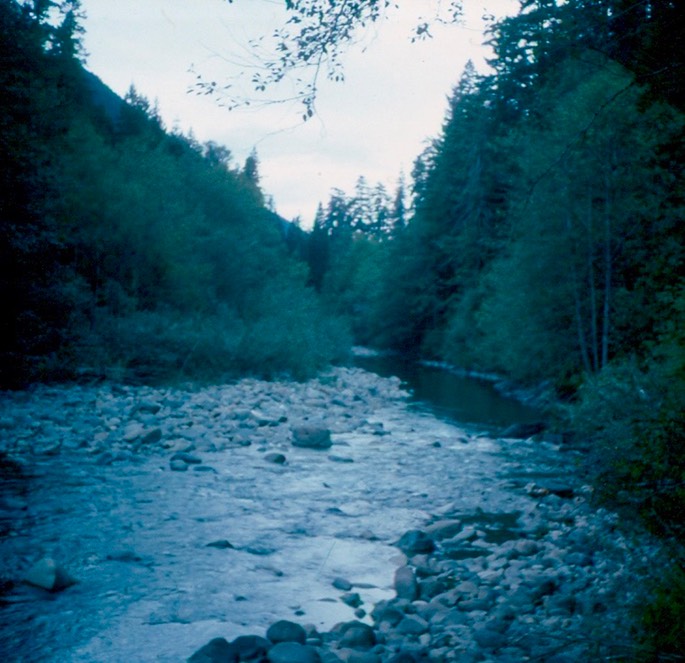 1992_Elwha_6