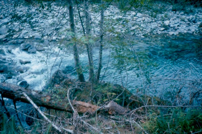 1992_Elwha_7