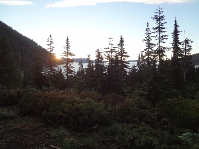 3UZBPTCzQ8SLV%cm1efzIA_thumb_49c5