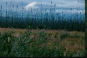 AlaskaA02