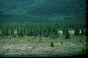 AlaskaD01