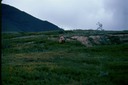 AlaskaE01