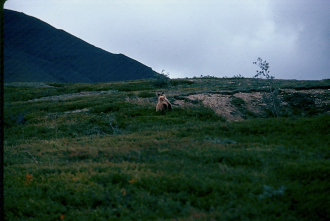 AlaskaE01