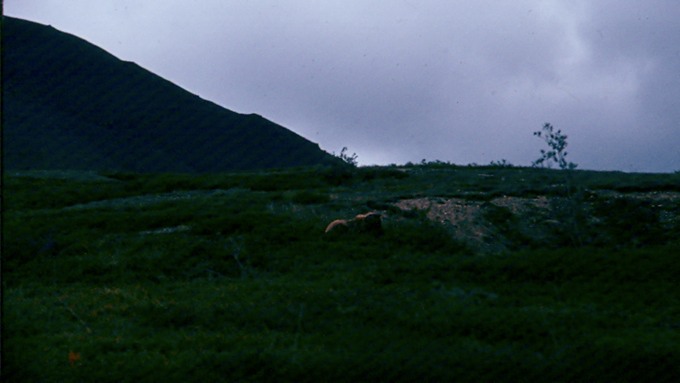 AlaskaE