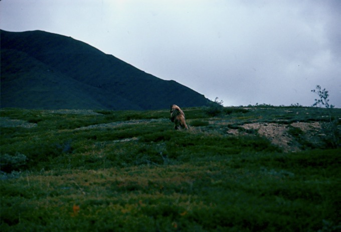 AlaskaF