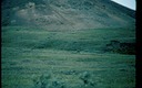 AlaskaH