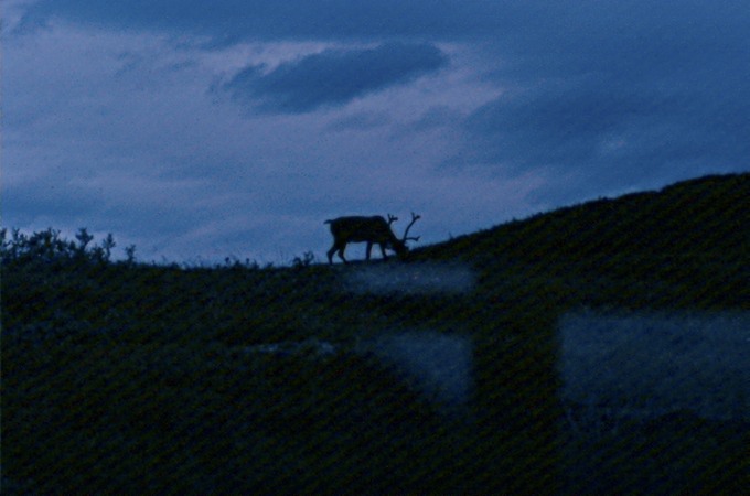 AlaskaL01