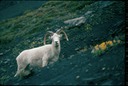 AlaskaT02