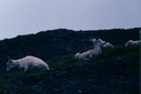 AlaskaU01