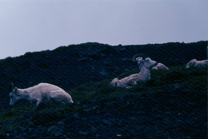 AlaskaU01