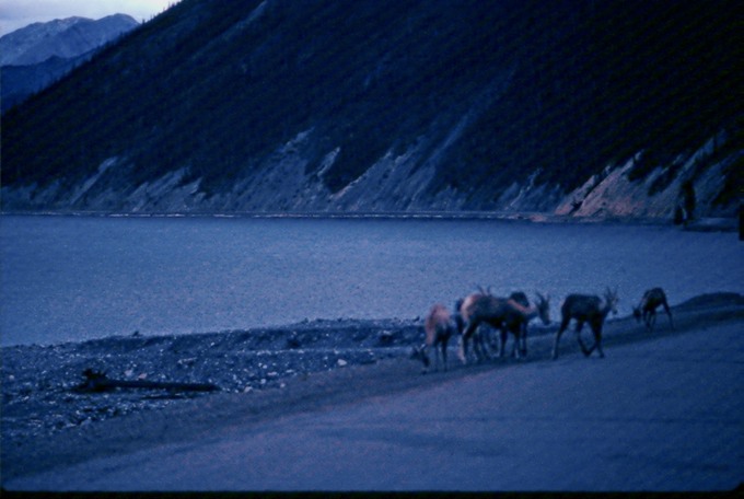 AlCanHwy_BC_M01