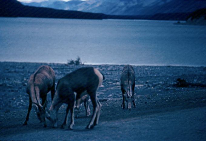 AlCanHwy_BC_M03
