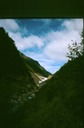 BailyTrip3n1003