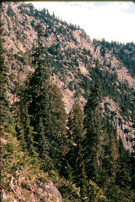 BailyTripIIIn29