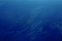 BCflightM02