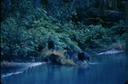 BearsJ01