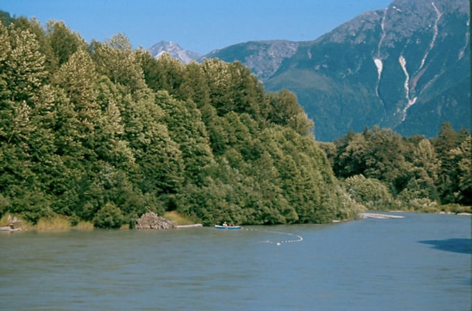 BellaCoola_IL03