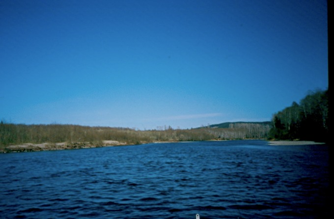 BogeyK02
