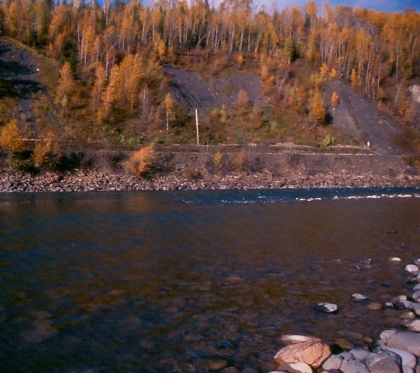 BulklyA03