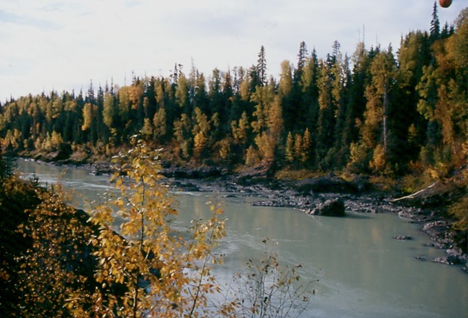 CassiarD