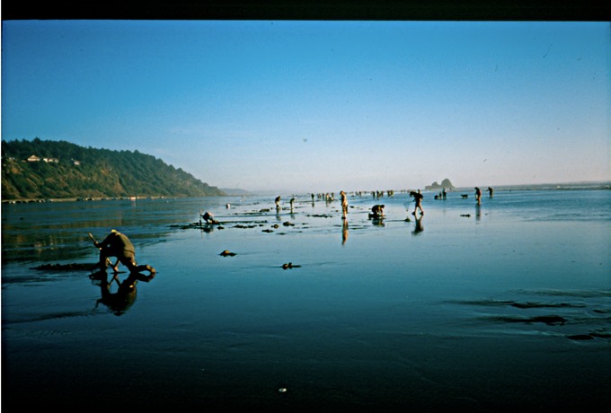 clam_diggingA02