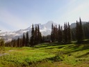 DSC00285