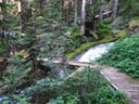 DSC00325