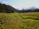 DSC00335