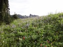 DSC00414