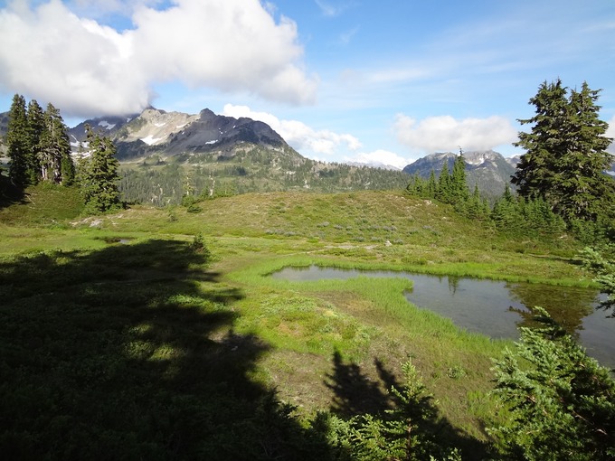 DSC00964