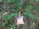 DSC01870