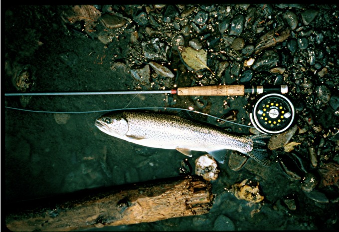EQuinFishSSH43