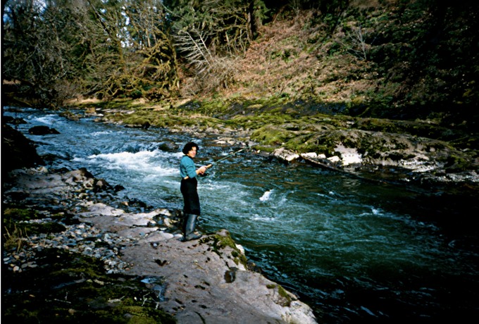 FishingIIf