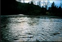 FishingIIIb