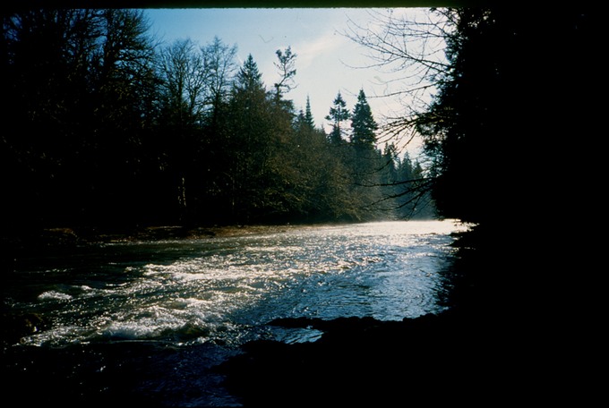 FishingIVb