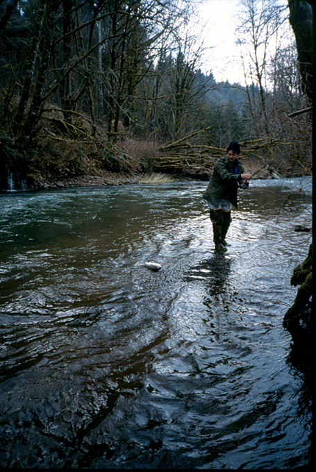 FishingIVd