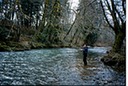 FishingIVe01