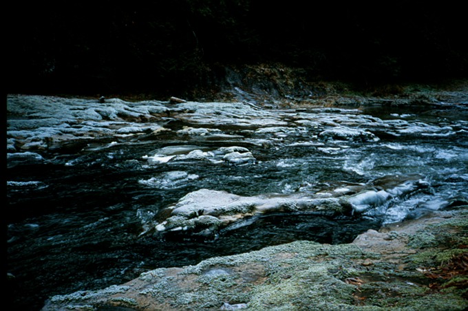 FishingIXb02