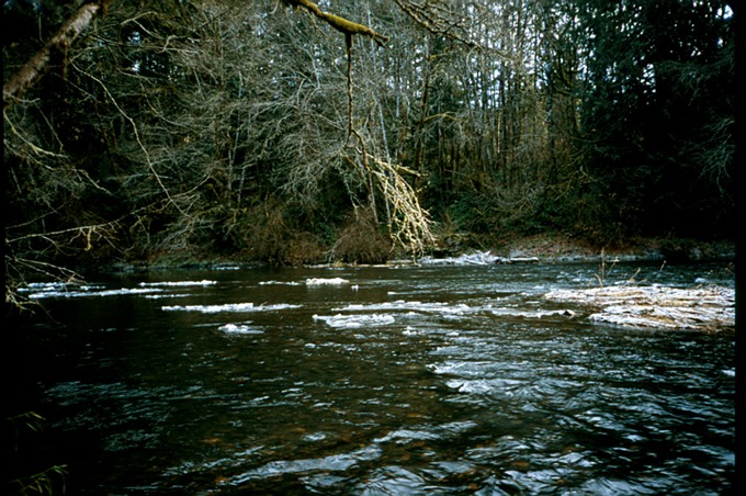 FishingIXb