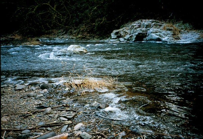 FishingIXc01