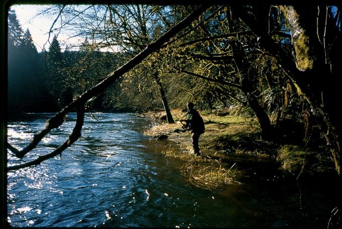 FishingVf