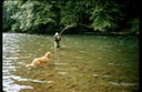 FishingVIi02