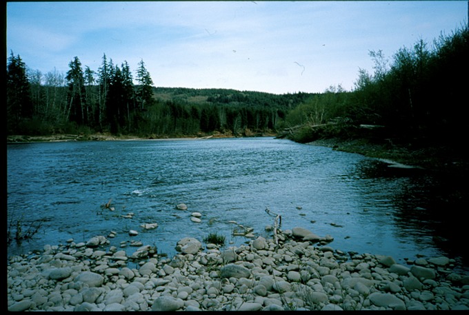 FishingVIIb