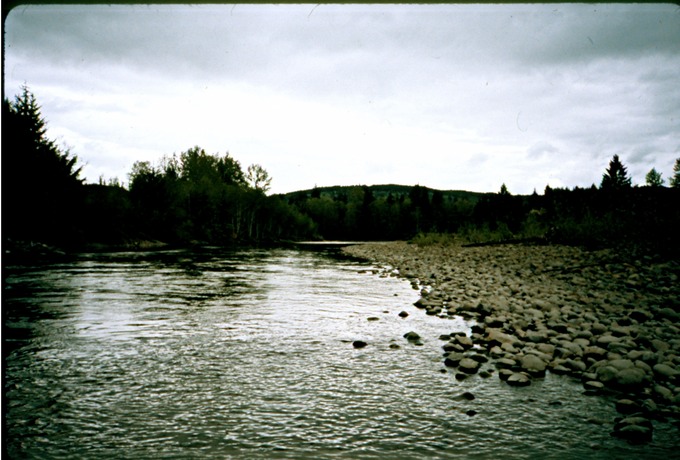 FishingVIIIa01