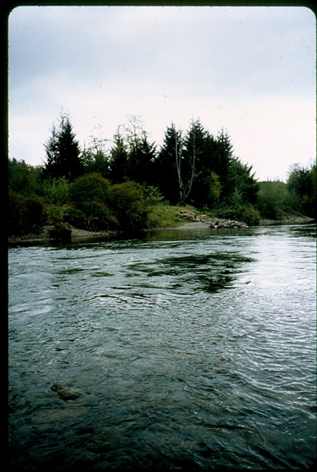 FishingVIIIa03