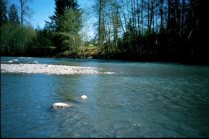 FishingVIIIa