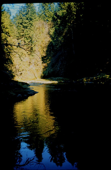 FishingVIIIc