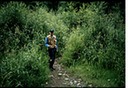 FishingVIIId01