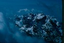 FlightOlyI01
